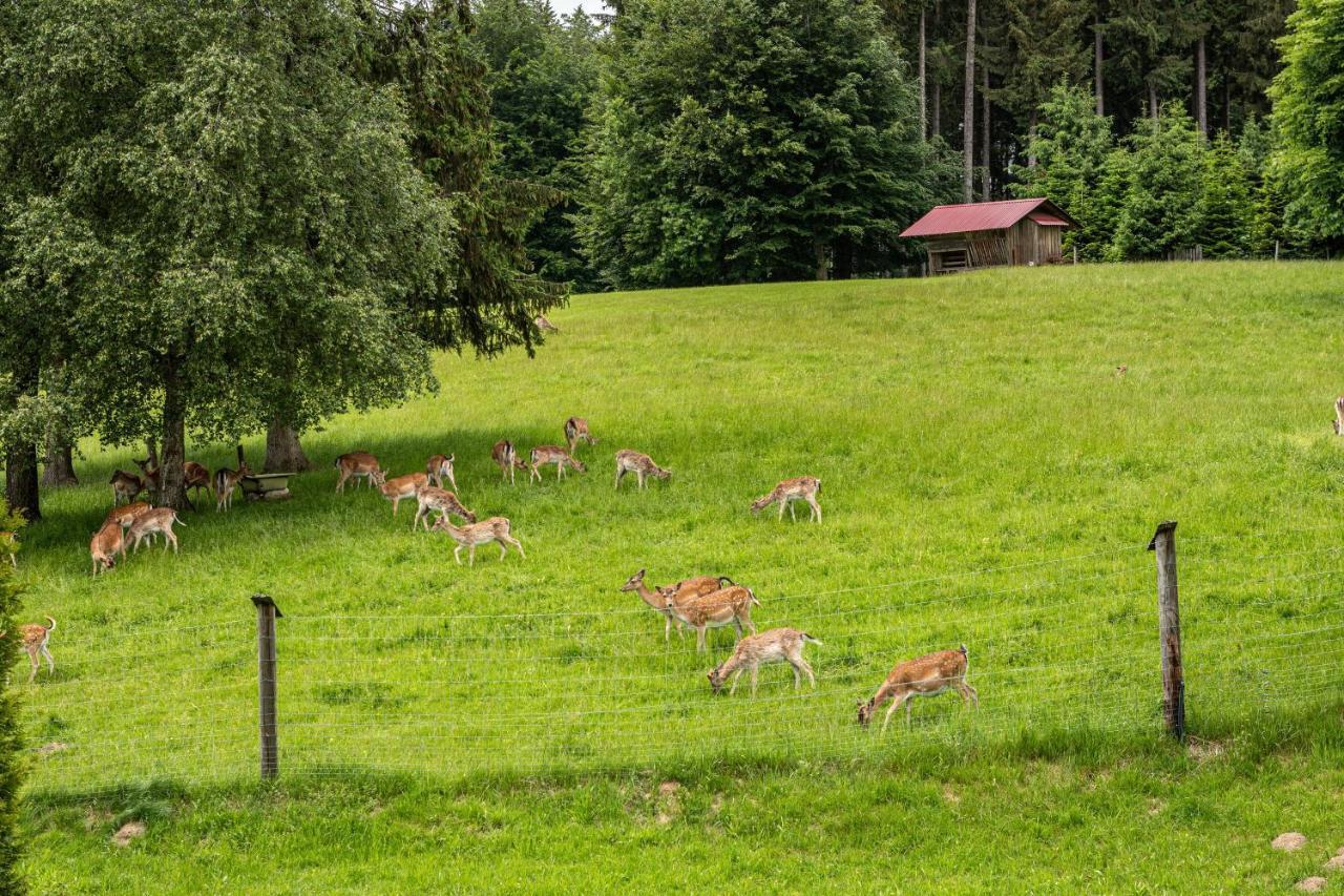 Apartamento Urlaub Auf Dem Hirschhof Stehle Waldburg Exterior foto